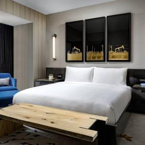 Presidential Suite, 1 King