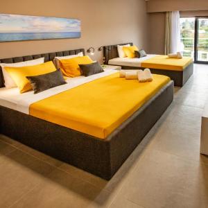 Superior Twin Room with City View