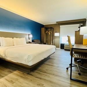 King Suite with Sofa Bed - Non-Smoking