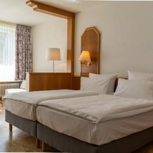 Superior Twin Room with Balcony
