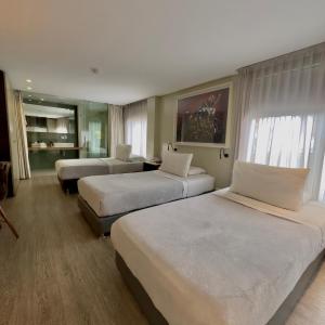 Suite (3 Adults)
