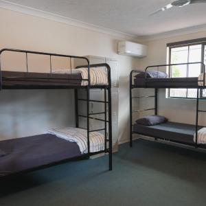 Bed in 6-Bed Mixed Dormitory Room (18-35 years only)