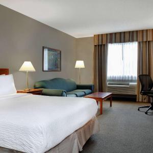 Deluxe King Room - Non-Smoking