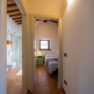Standard One-Bedroom Apartment