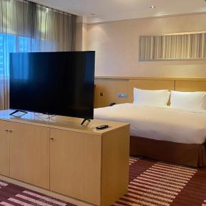Premium Suite with King Bed