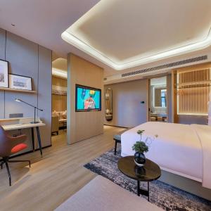 Premium Suite with King Bed
