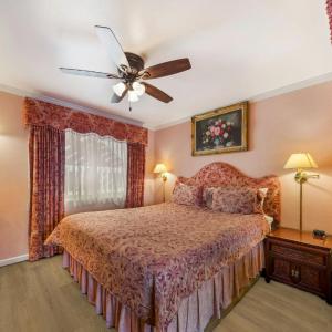 King Suite with Daybed