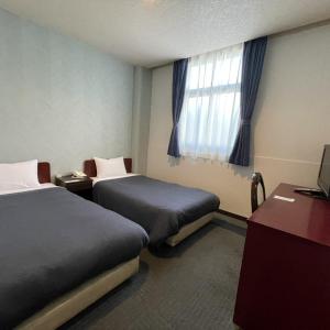 Superior Twin Room with City View
