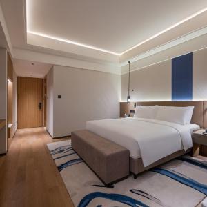 Superior King Room with One King Bed