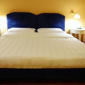 Deluxe Double or Twin Room with Balcony