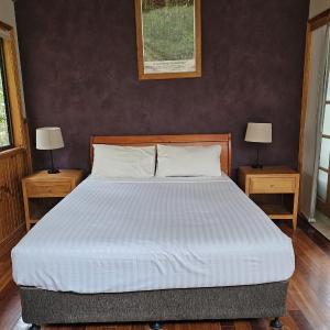 Tree House Studio