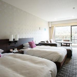 Deluxe Twin Room - Non-Smoking