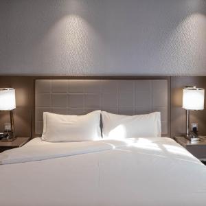 King Room with Roll-In Shower - Disability Access