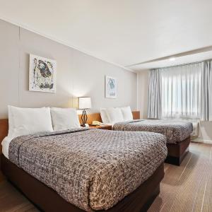 Double Room with Two Double Beds - Non-Smoking