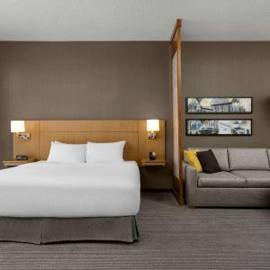 King Room with Sofa Bed and Accessible Roll-In Shower