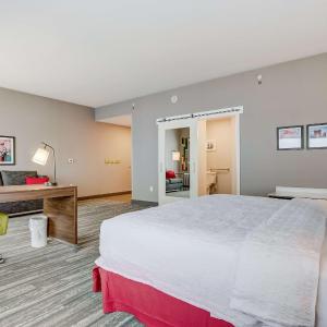 King Room with Sofa Bed and Wet Bar - Non-Smoking