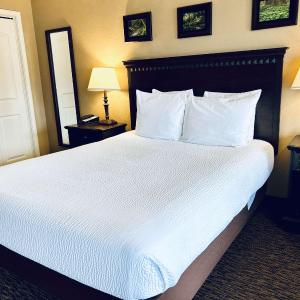 Queen Room - Mobility Access