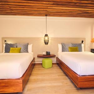 2 Queen Room with Terrace / Sotobosque
