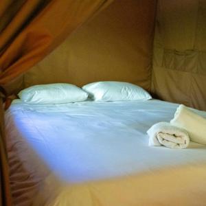Tent - La Trappeur