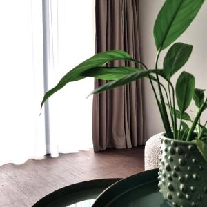 Modern Suite
