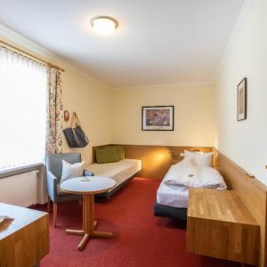 Standard Single Room with Mountain View