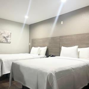 Standard Queen Suite with Two Queen Beds - Non Smoking