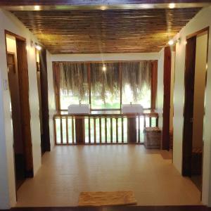 Bunk Bed in Mixed Dormitory Room