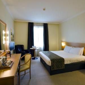 Double Room for Single Occupancy.