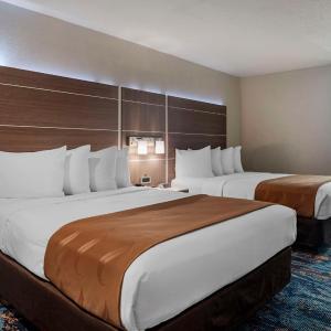 Queen Room with Two Queen Beds - Non-Smoking