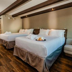 Standard Queen Room with Two Queen Beds