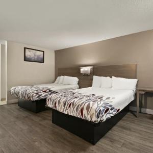 Standard Room with Two Queen Beds Non-Smoking