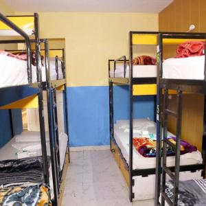 Bed in 10-Bed Mixed Dormitory Room