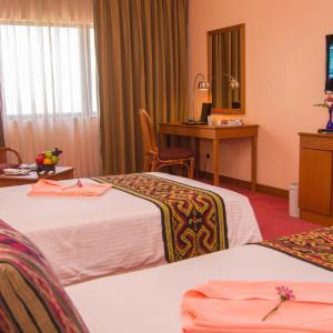 Premium Double or Twin Room