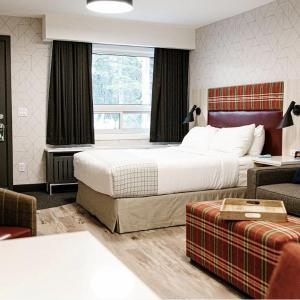 One Queen Room With Sofa Bed – Dog Friendly