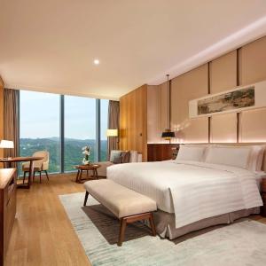 Premier King Room with City View