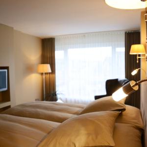 Business Double or Twin Room