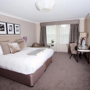 Standard Double Room- No Pets