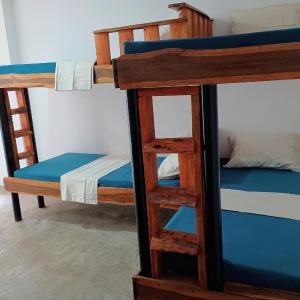 Bunk Bed in Mixed Dormitory Room