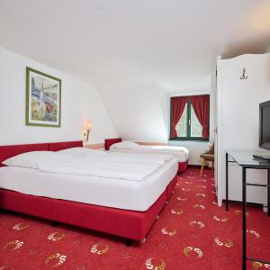 Triple Room with Private Bathroom