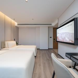 Executive Twin Room