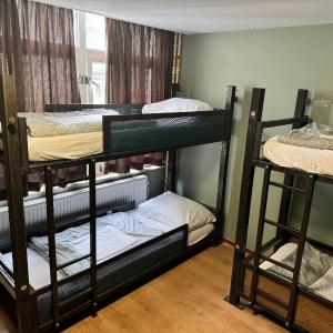 Bed in 6-Bed Mixed Dormitory Room
