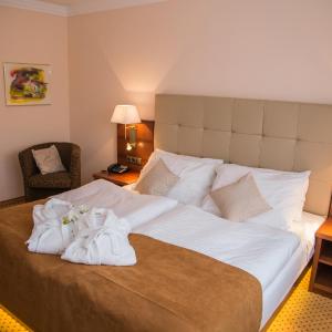 Comfort Suite