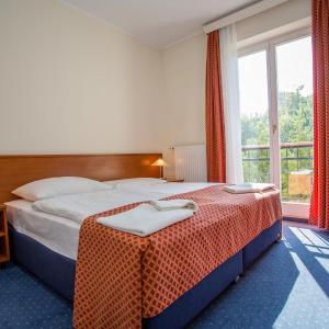 Double or Twin Room with Extra Bed