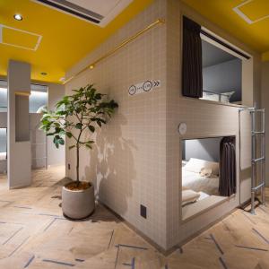 Bunk Bed in Mixed Dormitory Room