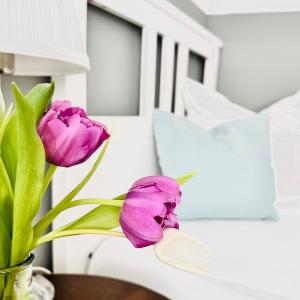Deluxe Double Room with Shower