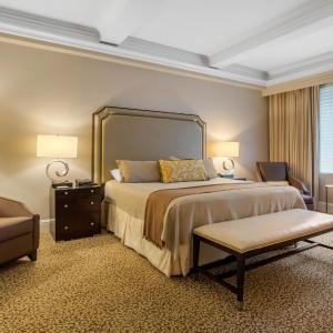 Premier  Executive - 1 King with Terrace
