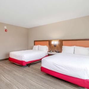 Queen Room - Disability Access