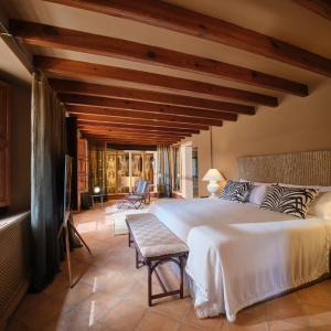 Suite with Terrace
