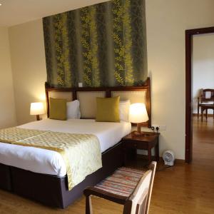 King Room with Roll-In Shower - Disability Access