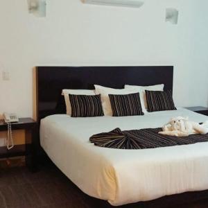 Single Room with Garden View